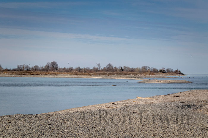 Gull Islands, Presqu'ile ON