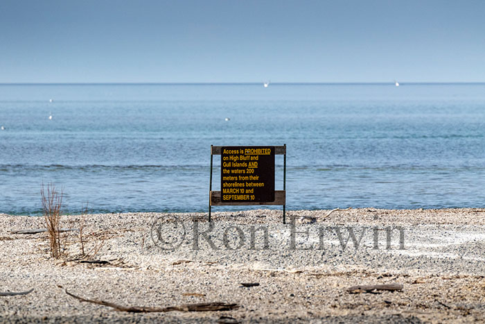 Gull Islands, Presqu'ile ON