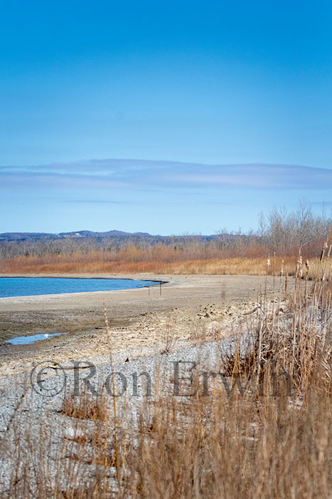 Gull Islands, Presqu'ile ON