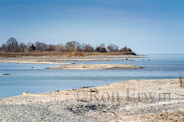 Gull Islands, Presqu'ile ON