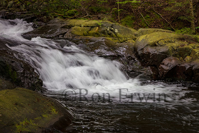 Freeland to Killarney Falls, ON