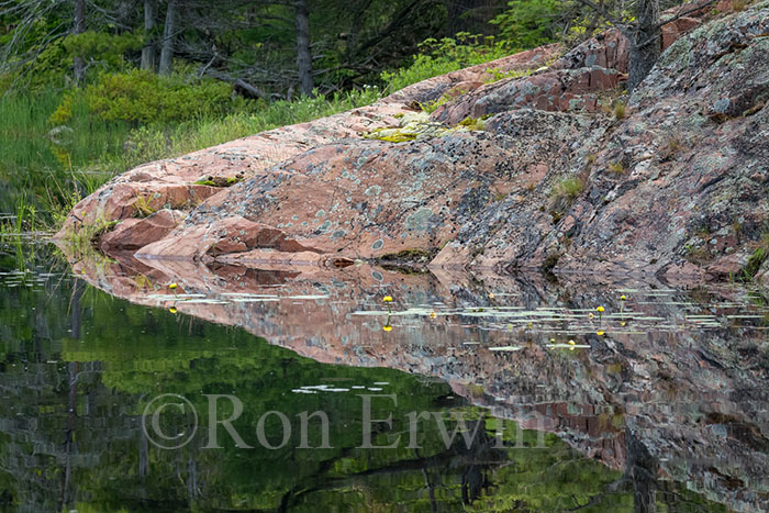 Chikanishing Creek, ON