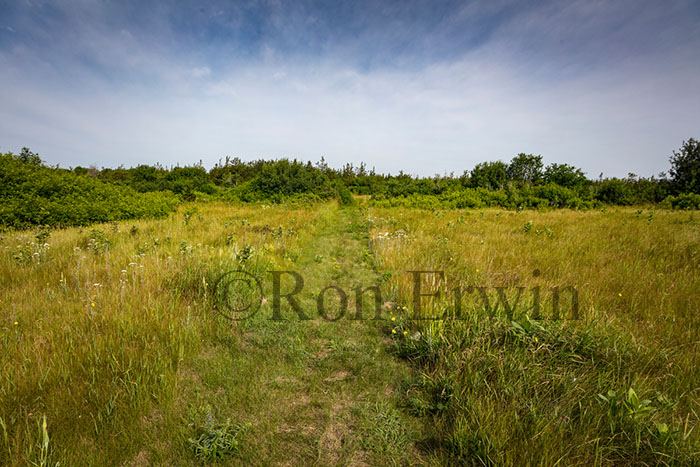 Grassland Alvar PEC