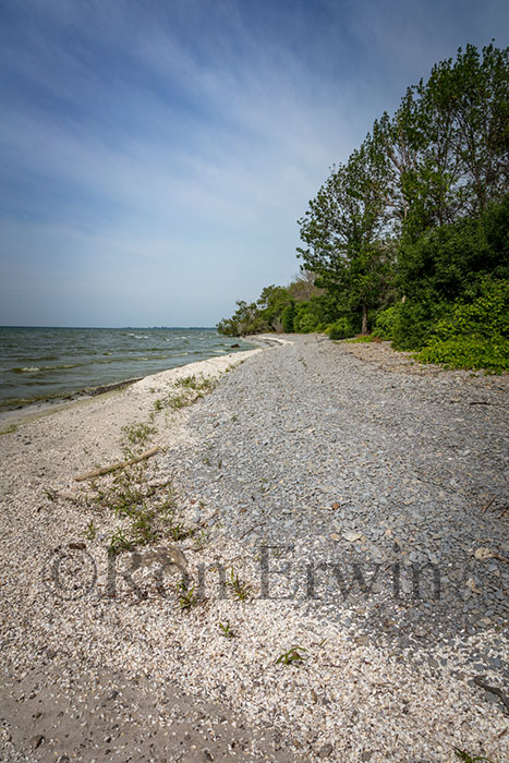 Maple Cross Coastline Reserve, PEC