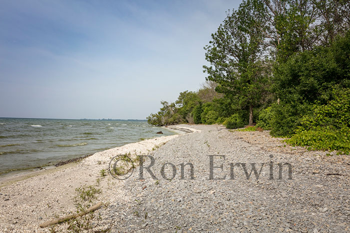 Maple Cross Coastline Reserve, PEC