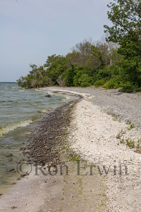 Maple Cross Coastline Reserve, PEC