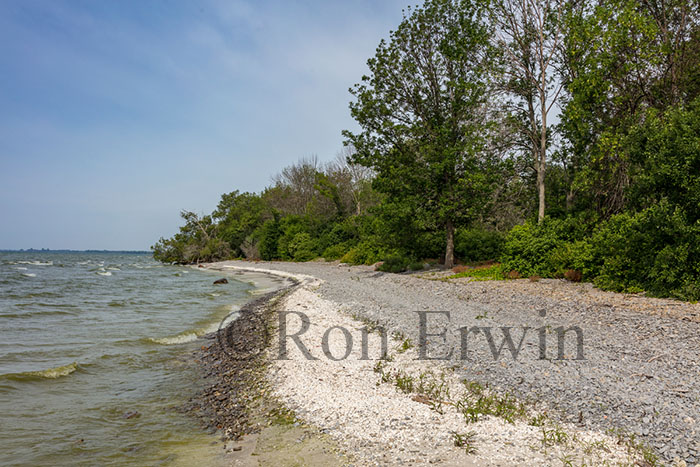 Maple Cross Coastline Reserve, PEC