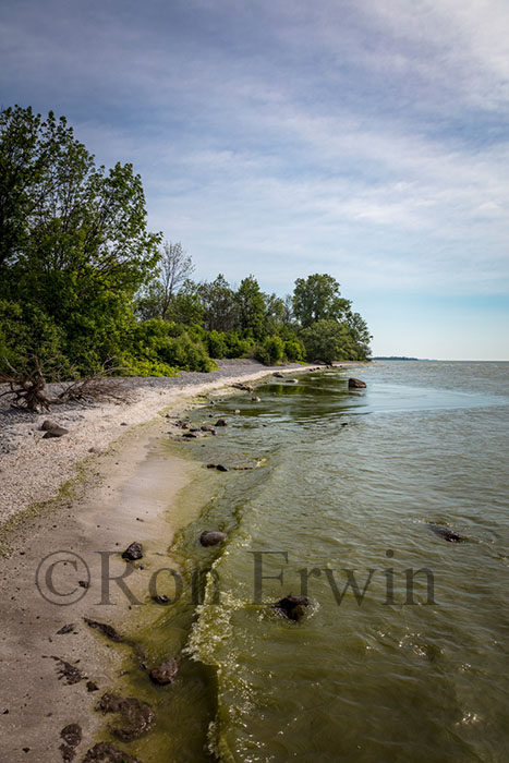 Maple Cross Coastline Reserve, PEC