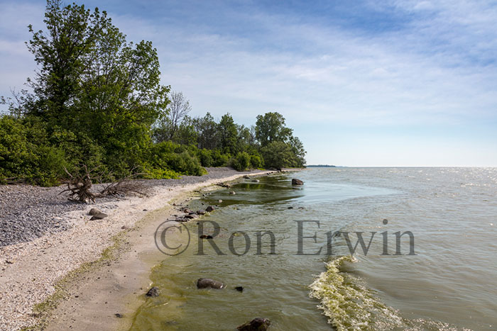 Maple Cross Coastline Reserve, PEC