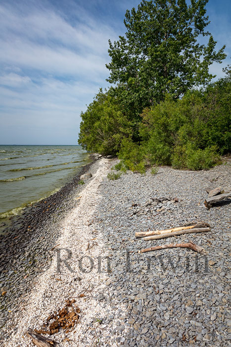 Maple Cross Coastline Reserve, PEC