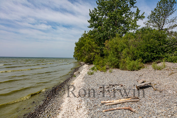 Maple Cross Coastline Reserve, PEC