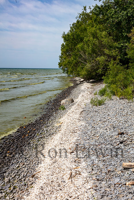 Maple Cross Coastline Reserve, PEC