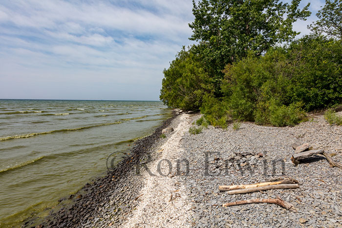 Maple Cross Coastline Reserve, PEC