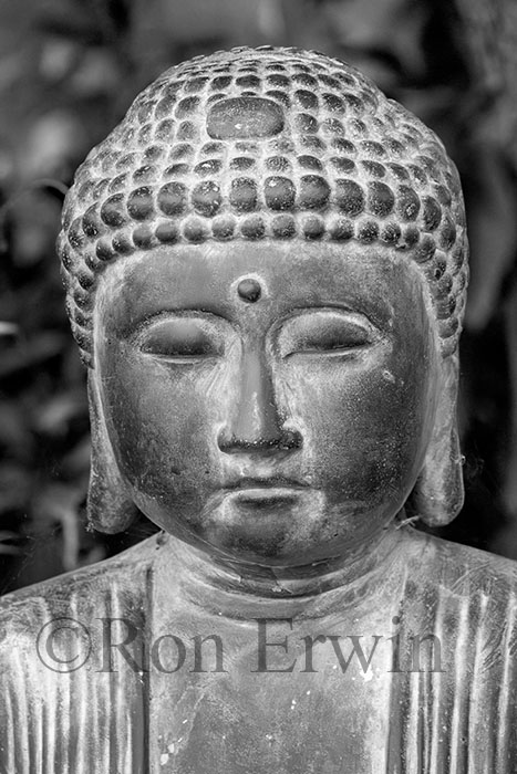 Buddha Statue