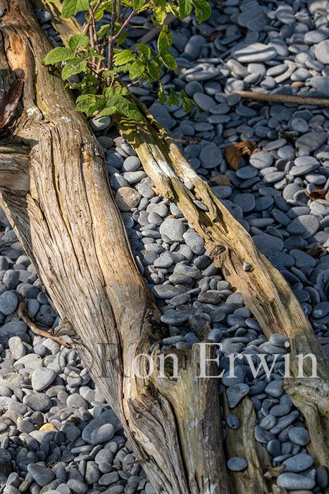 Stones & Log