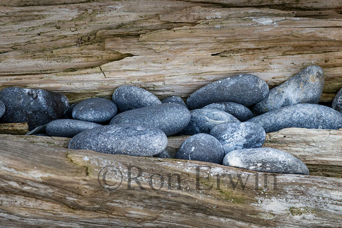 Stones & Log