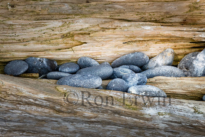 Stones & Log