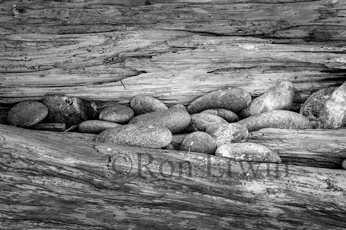 Stones & Log