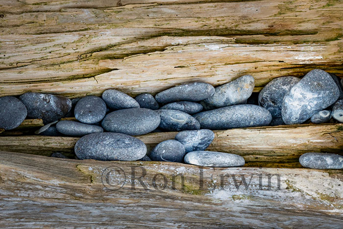 Stones & Log