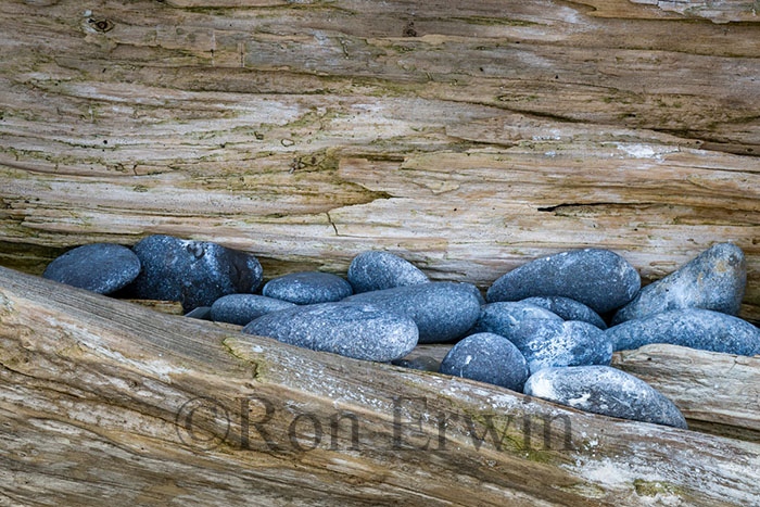 Stones & Log