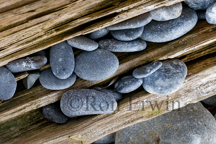 Stones & Log