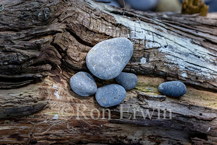Stones & Log