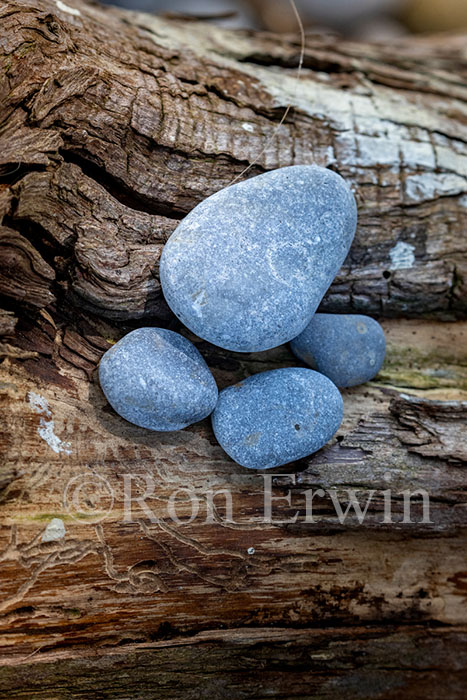 Stones & Log