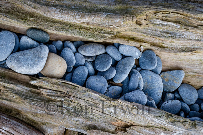 Stones & Log