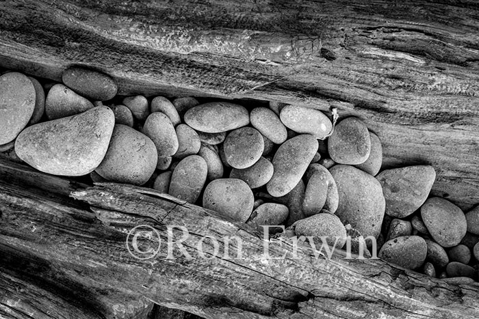 Stones & Log