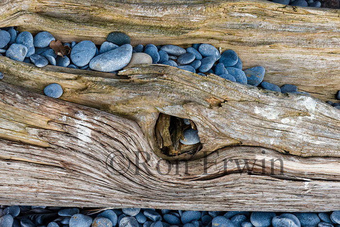 Stones & Log