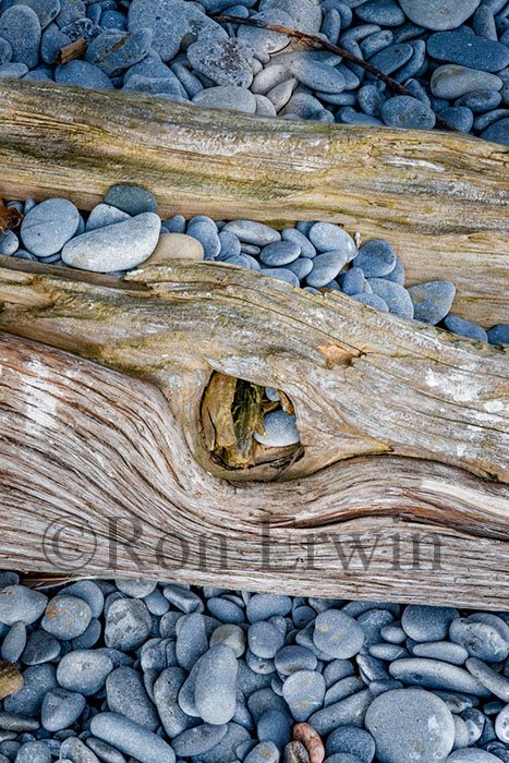 Stones & Log