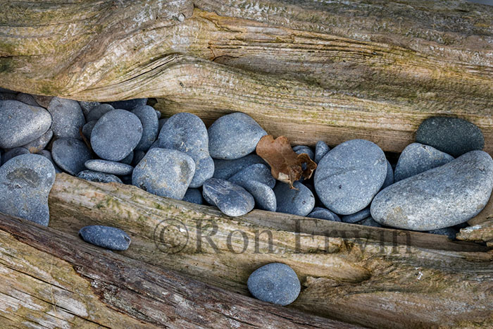 Stones & Log