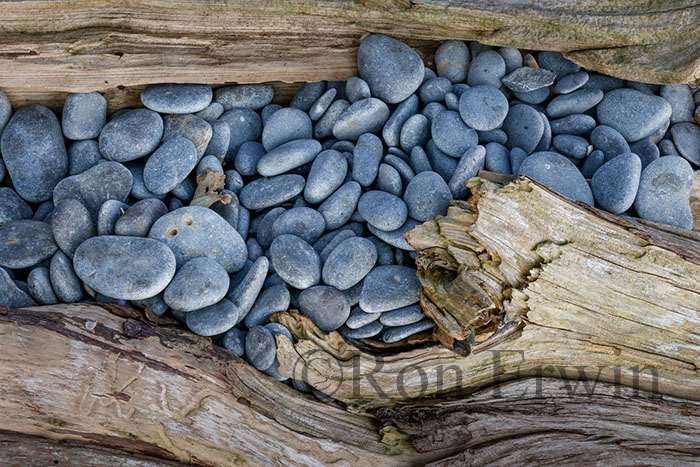 Stones & Log