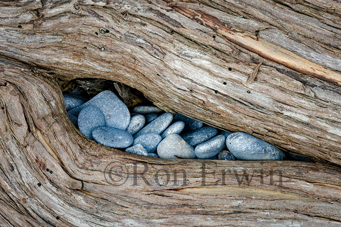 Stones & Log