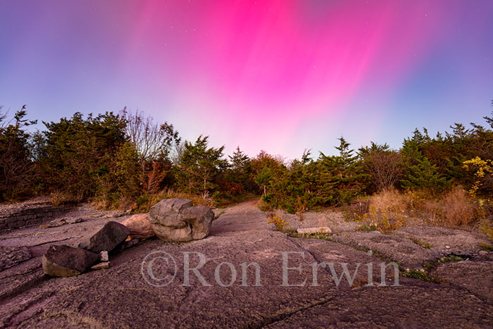 Northern Lights over Point Petre, ON