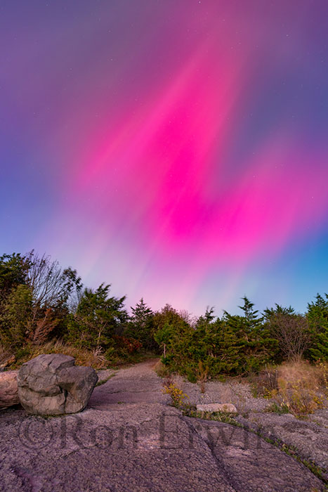 Northern Lights over Point Petre, ON