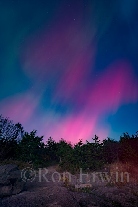 Northern Lights over Point Petre, ON
