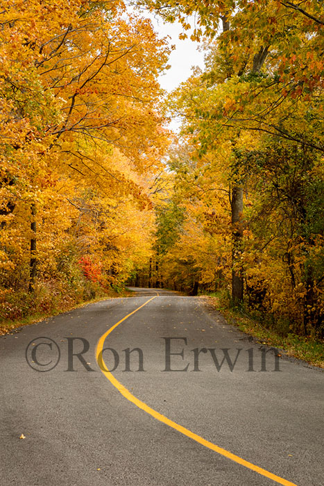 Grimmon's Woods, PEC, ON