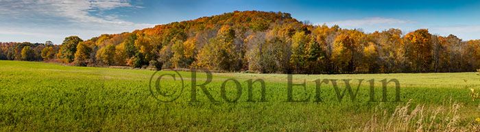 PEC Autumn Fields