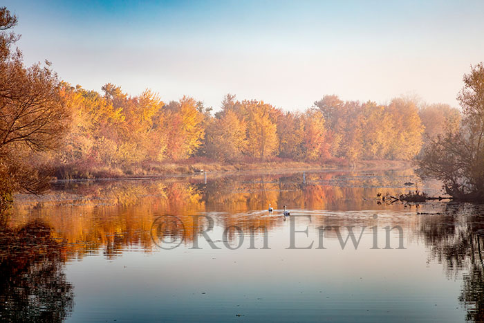 Whitney Memorial Dam, ON