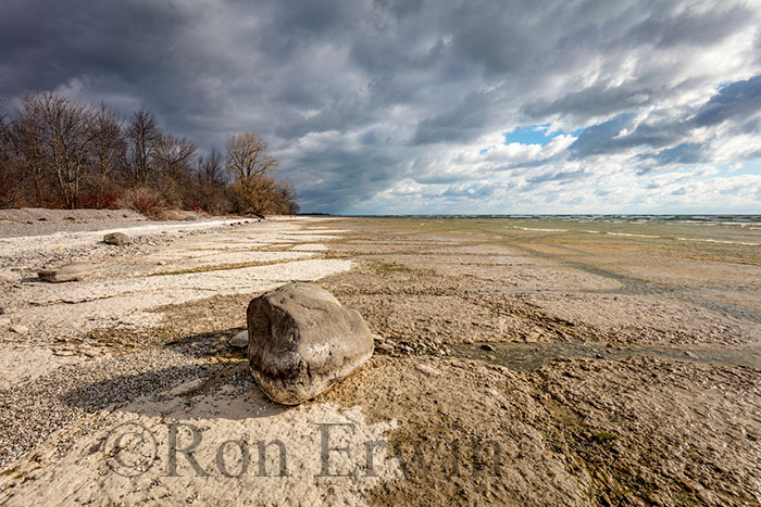 MapleCross Coastline Reserve, ON