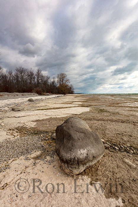 MapleCross Coastline Reserve, ON