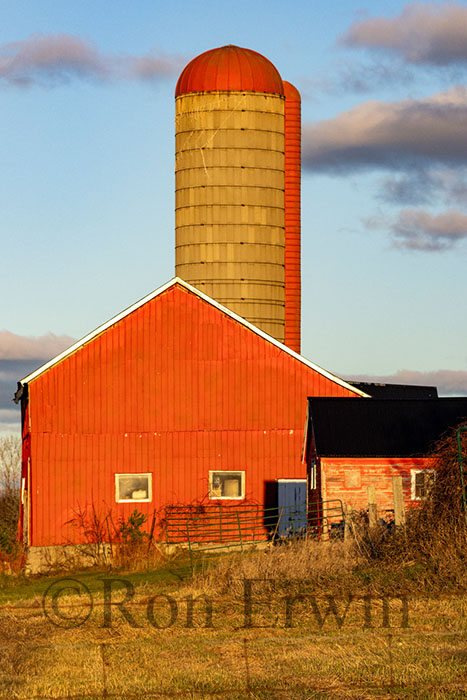 Red Barn & Silo
