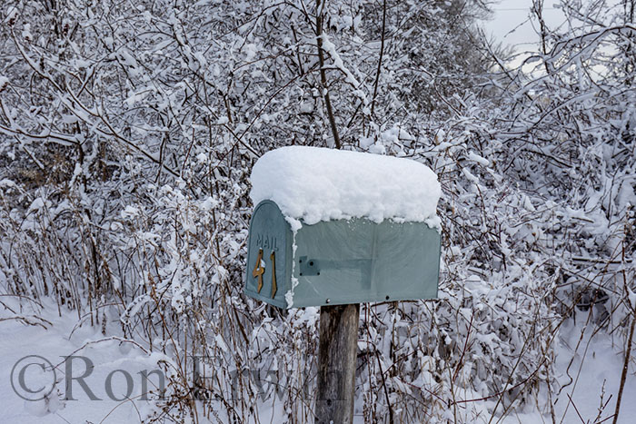 Snow-covered Mailbox