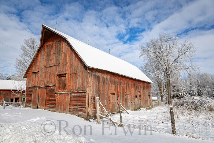 Red Barn in Winter