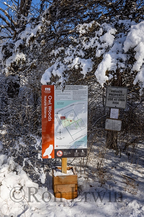 Sign in Owl Woods