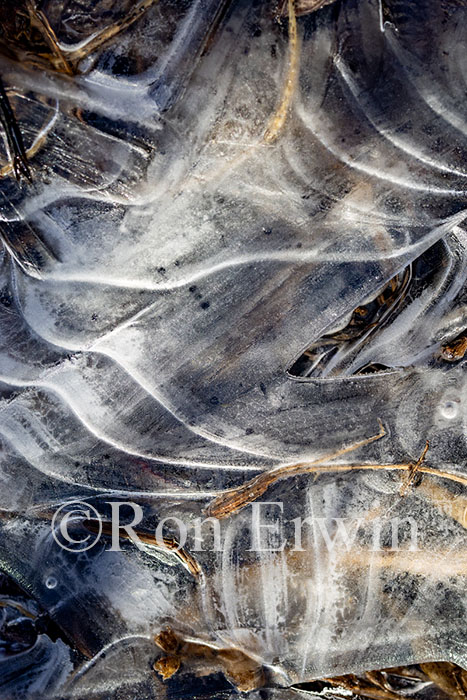 Ice Patterns