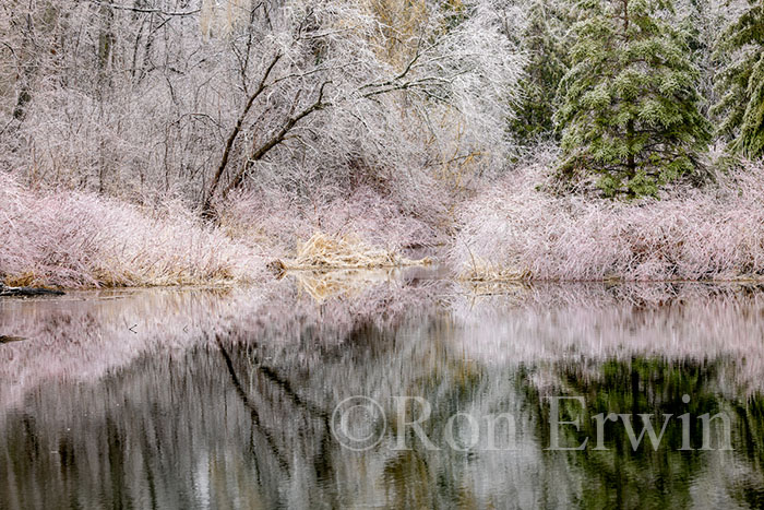 Spring Ice Storm