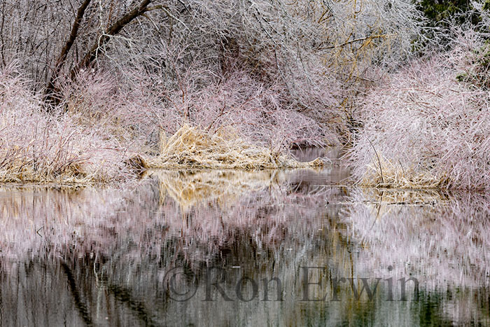 Spring Ice Storm