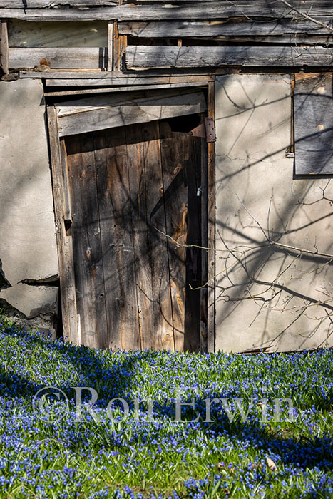 Old Crooked Door